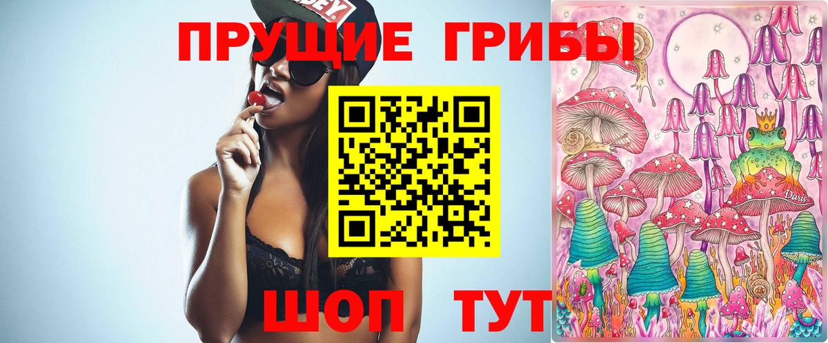 Галлюциногенные грибы Psilocybine cubensis  купить наркоту  Галлюциногенные грибы Cubensis  Североуральск  Вход с VPN 
